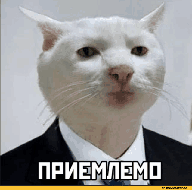 ,NieR Automata,Nier (series),Игры,Ram (Re Zero),Re Zero Kara Hajimeru Isekai Seikatsu,Re:Zero - Starting Life in Another World,Anime,Аниме,фэндомы,Rem (Re Zero),Нейросетевые Барышни,арт барышня,арт девушка, art барышня, art girl,art,арт,кроссовер,нагенерил сам,нейронные сети,QuantumHeadAI