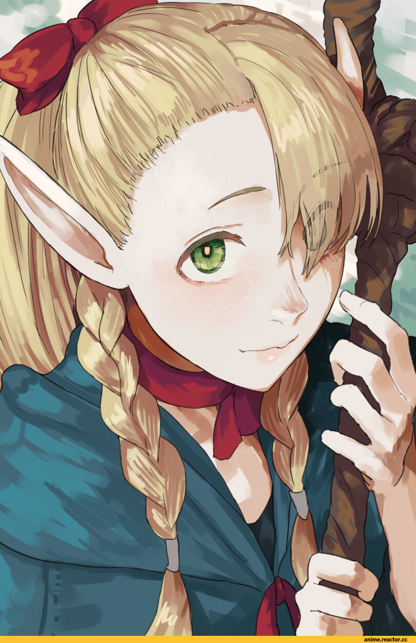 Marcille,Dungeon Meshi,Anime,Аниме,фэндомы,sawarakajin